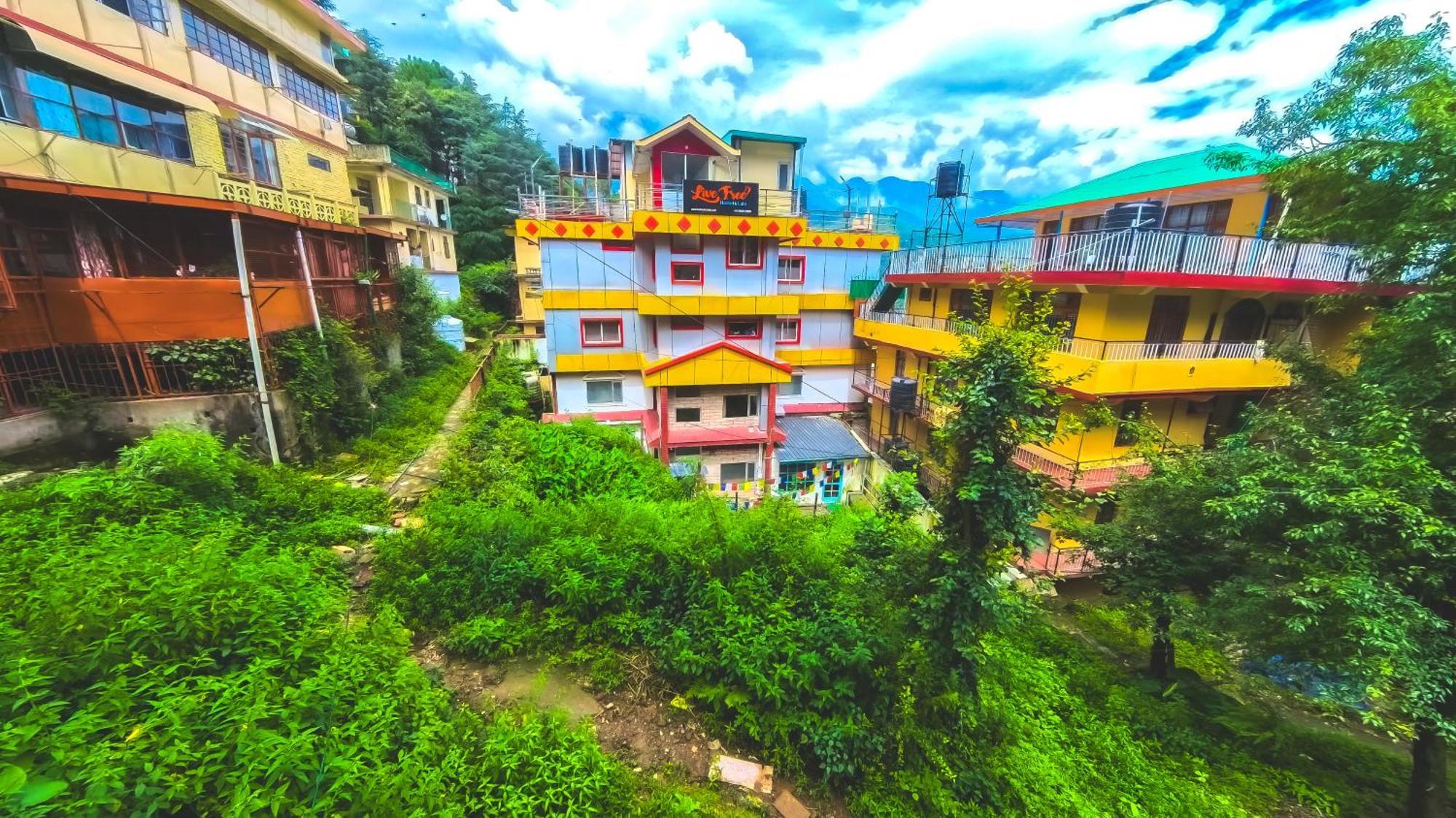 Live Free Hostel, Mcleodganj McLeod Ganj Extérieur photo